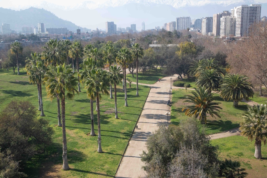 Lugares pet friendly en Santiago: panoramas para disfrutar con tu mascota