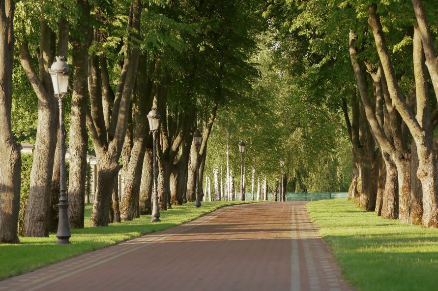 Los 5 parques en Ñuñoa que debes visitar