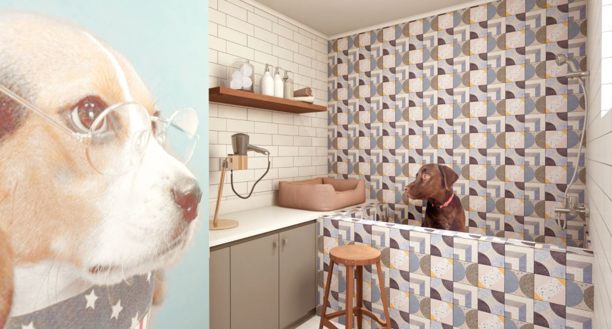 Pet Spa