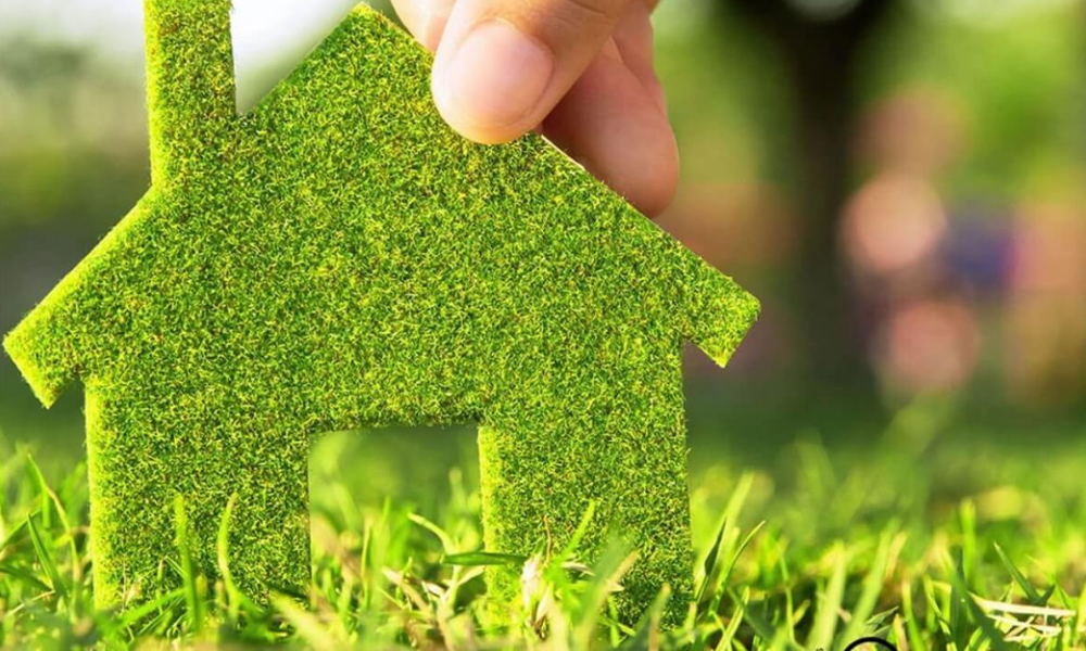 Crédito verde vs crédito hipotecario tradicional: ¿Cuál te conviene el 2025?